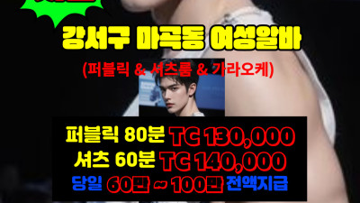 서울 강서구 마곡동 노래방도우미 알바 룸알바