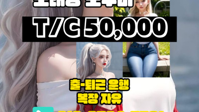 수원 장안구 노래방도우미 알바