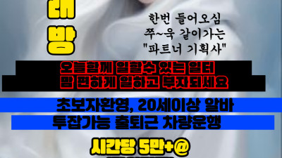 남양 신도시 노래방도우미 알바